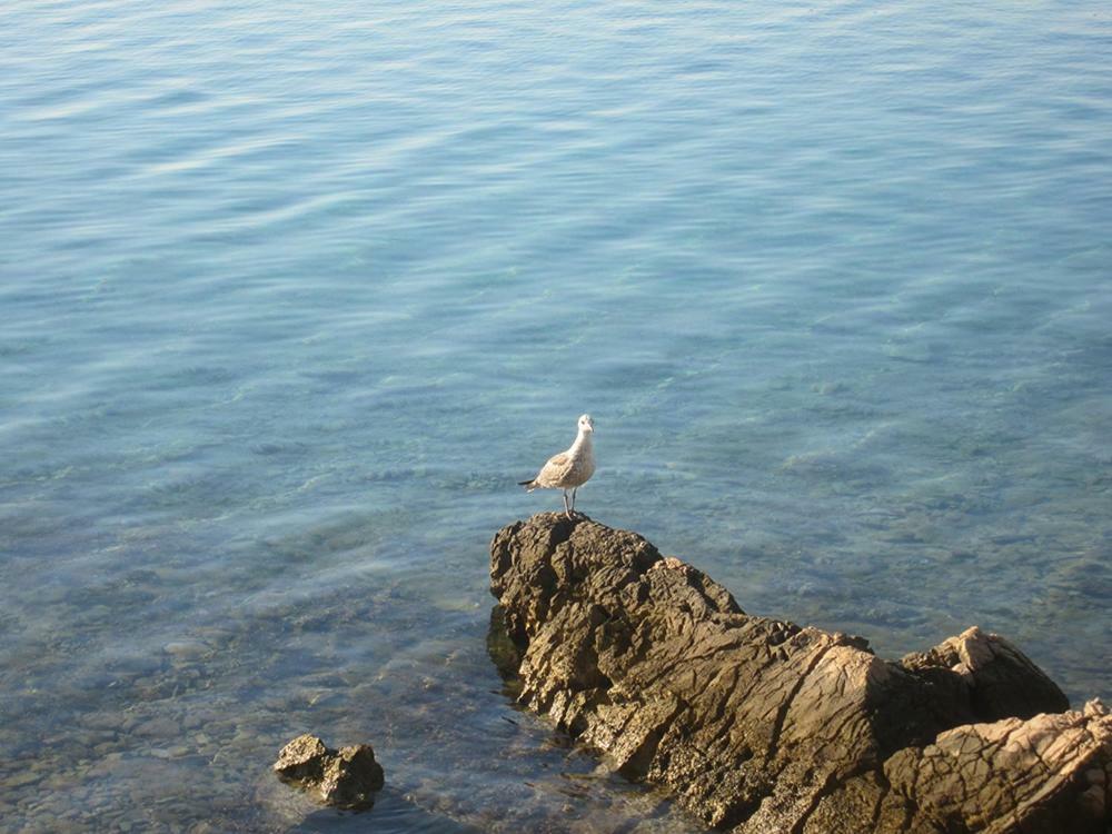 Appartamento G.Bakovic Jezera Esterno foto